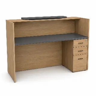 Recepción minimalista imagen 3